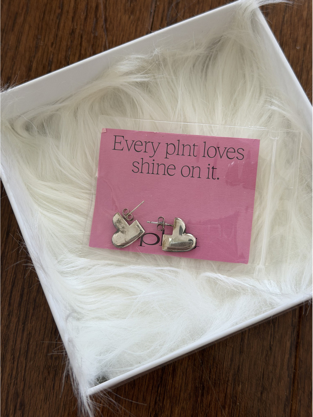 Plnt Silver Heart Shaped Stud Earrings